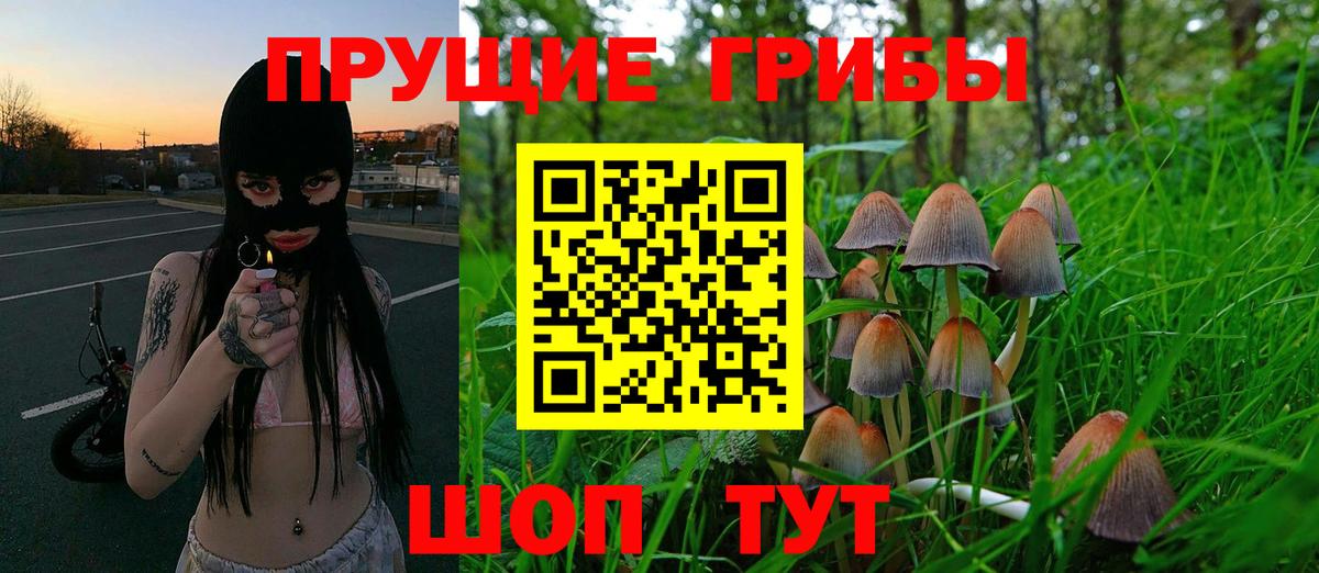 Псилоцибиновые грибы мухоморы Красноярск